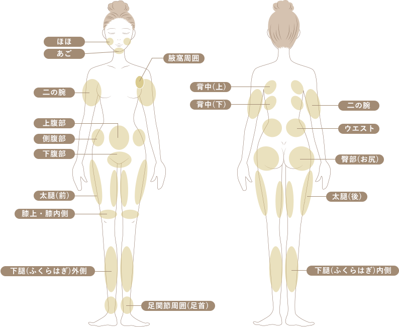 ほほ/あご/二の腕/上腹部/下腹部/側腹部/太腿（前）/膝上・膝内側/下腿（ふくらはぎ）外側/腋窩周囲/足関節周囲(足首)/背中(上)/背中(下)/ウエスト/臀部（お尻）/太腿（後）/下腿(ふくらはぎ)内側