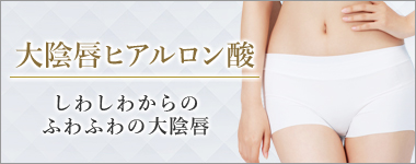 大陰唇ヒアルロン酸