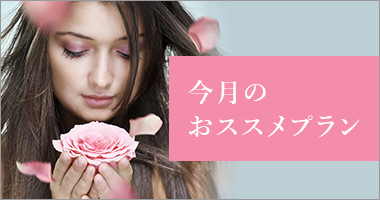 今月のおススメプラン