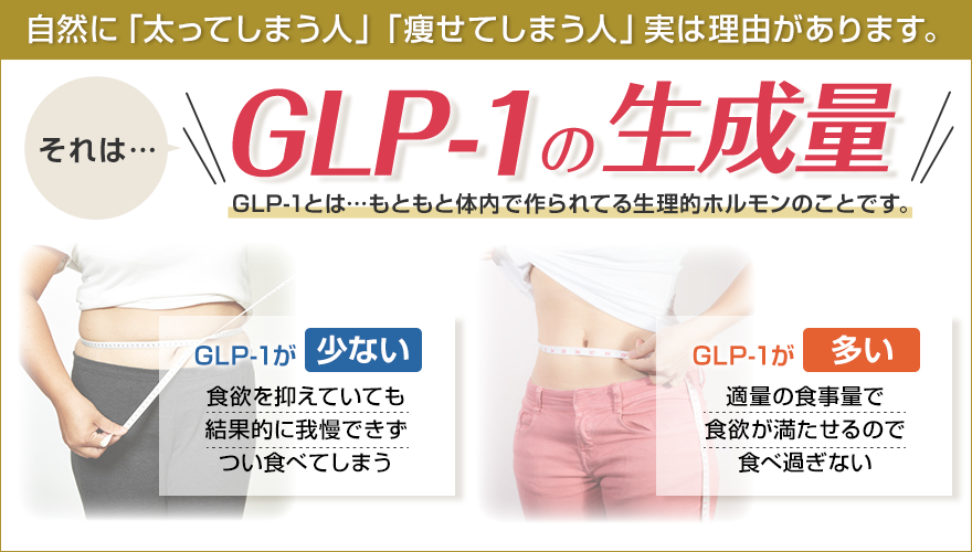 GLP-1がもともと少ないと太りやすい！