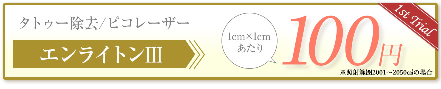 エンライトンⅢ 1cm×1cm 100円