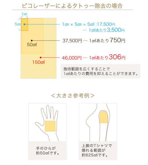 ピコレーザーによるタトゥー除去の場合