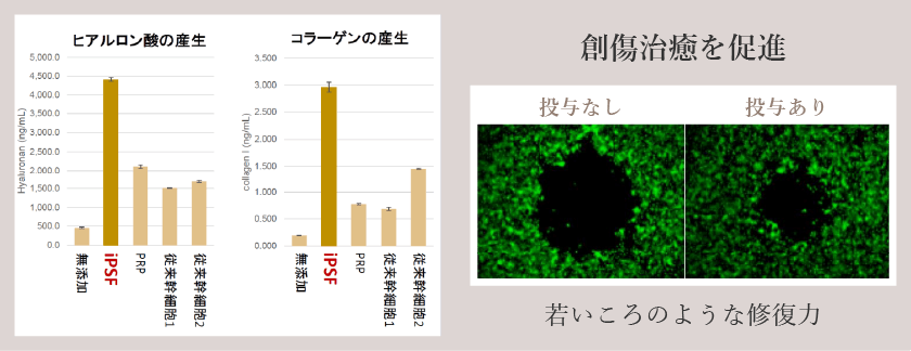 ヒアルロン酸とコラーゲンの産生が3~4倍増加 若いころのような修復力