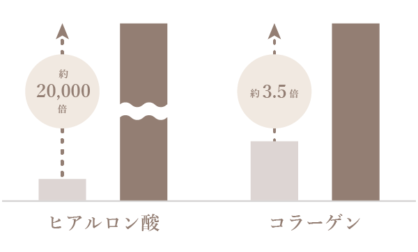 ヒアルロン酸約20,000倍 コラーゲン約3.5倍