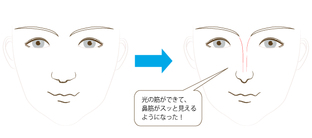 2.鼻筋を通すことができます。