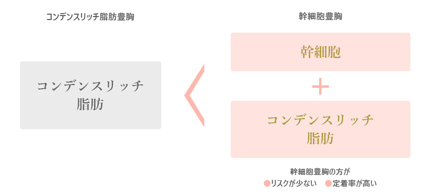 コンデンスリッチ脂肪豊胸＜幹細胞豊胸　幹細胞豊胸の方が・リスクが少ない・定着率が高い