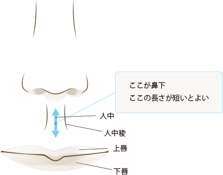 切らないリップリフト 鼻下短縮 美容外科 皮膚科 婦人科形成のルーチェクリニック