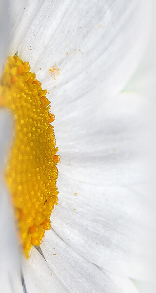 はみ出すぐらいサイズが大きい