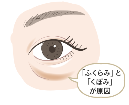 目元を正面からみると