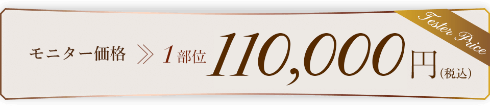 モニター価格 1部位 110,000円