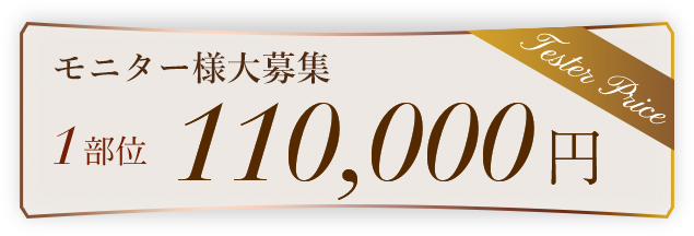モニター価格 1部位 110,000円