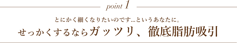 point1 女性らしい全体のボディーラインにこだわるグラデーションで行う脂肪吸引