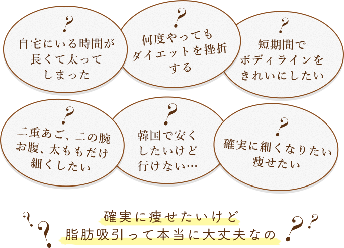 リバウンドを繰り返している/何度やってもダイエットを挫折する/短期間でボディラインをきれいにしたい/二重あご、二の腕お腹、太ももだけ細くしたい/体型に自身が持てない/確実に細くなりたい痩せたい/確実に痩せたいけど脂肪吸引って本当に大丈夫なの？