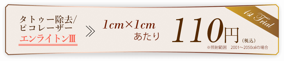 1cm×1cm　エンライトンⅢ